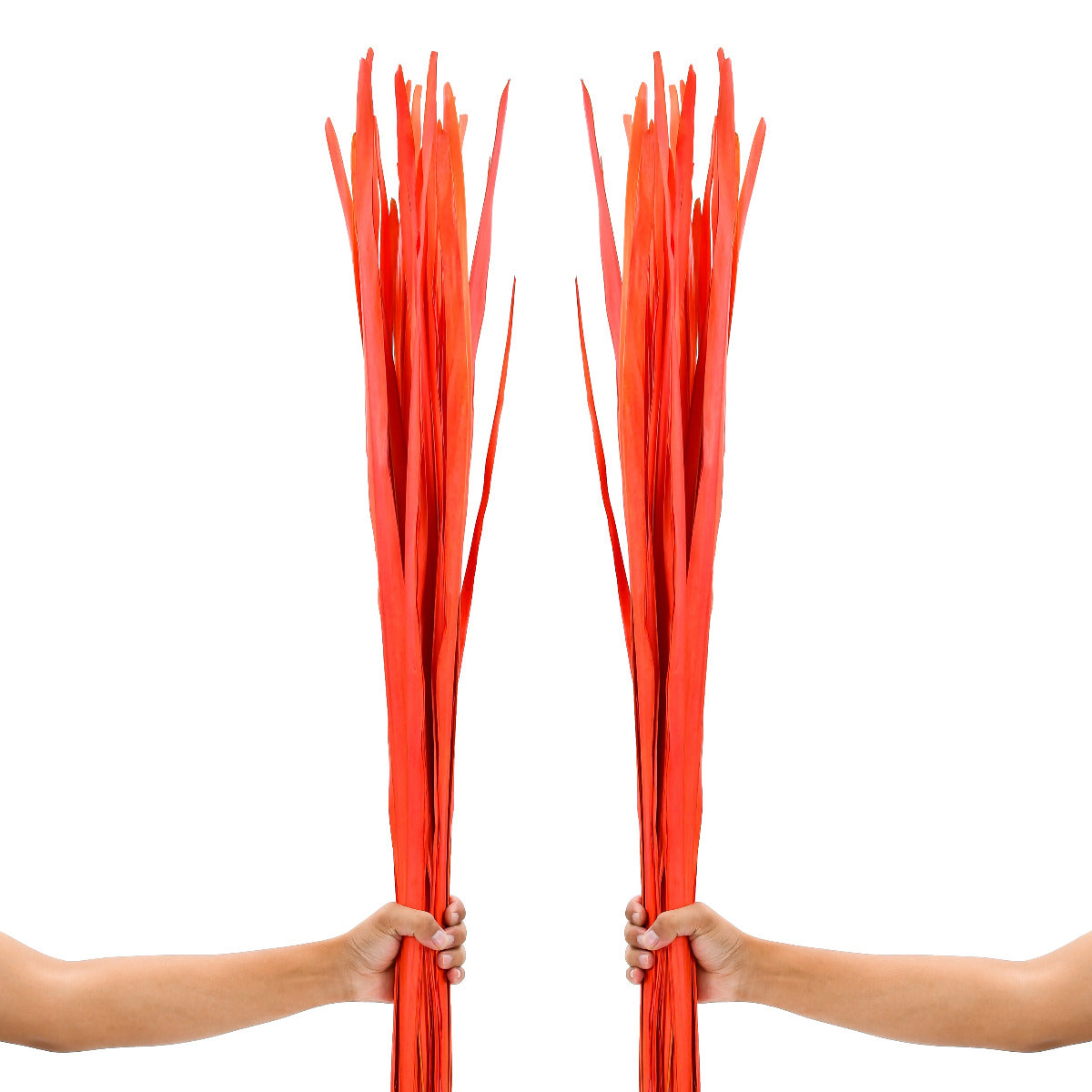 2-Pack Rattan Sticks for Floor Vases – Natural Decorative Twigs ( 8 per Bundle), orange, Palm Leaf