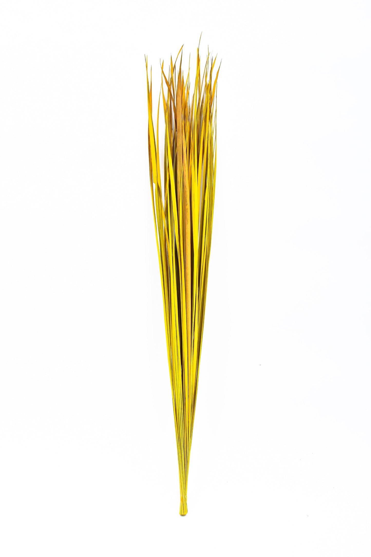 2er Set Rattanzweige für Bodenvasen – Natur-Deko aus 8 Zweigen pro Bündel