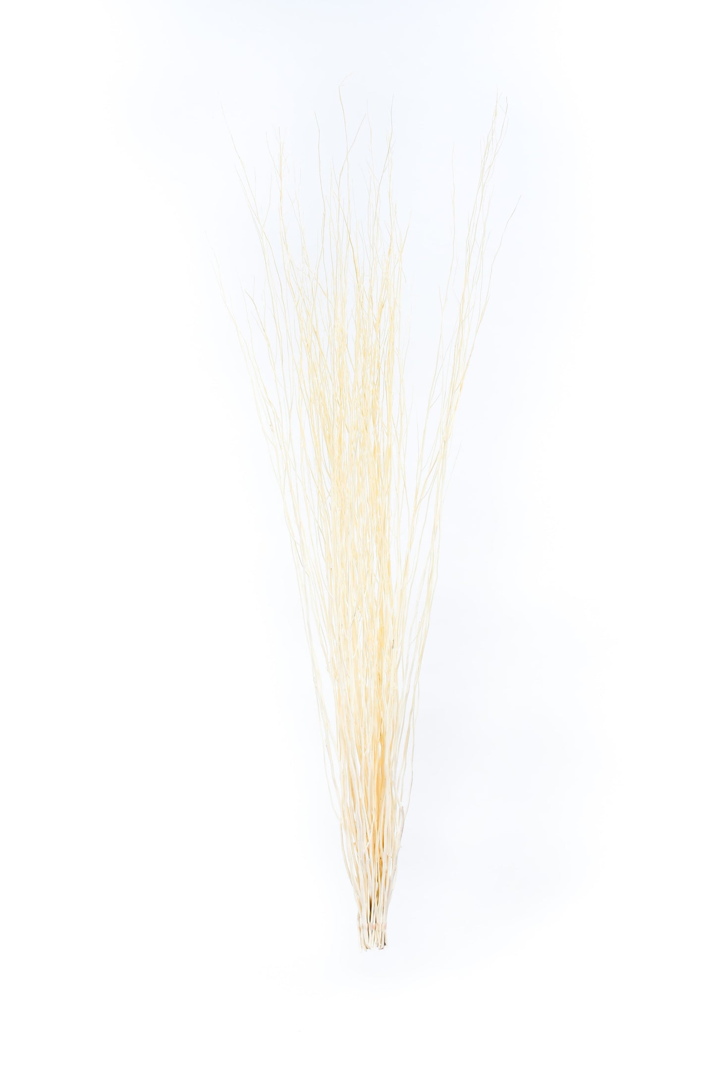 2er Set Rattanzweige für Bodenvasen – Natur-Deko aus 8 Zweigen pro Bündel