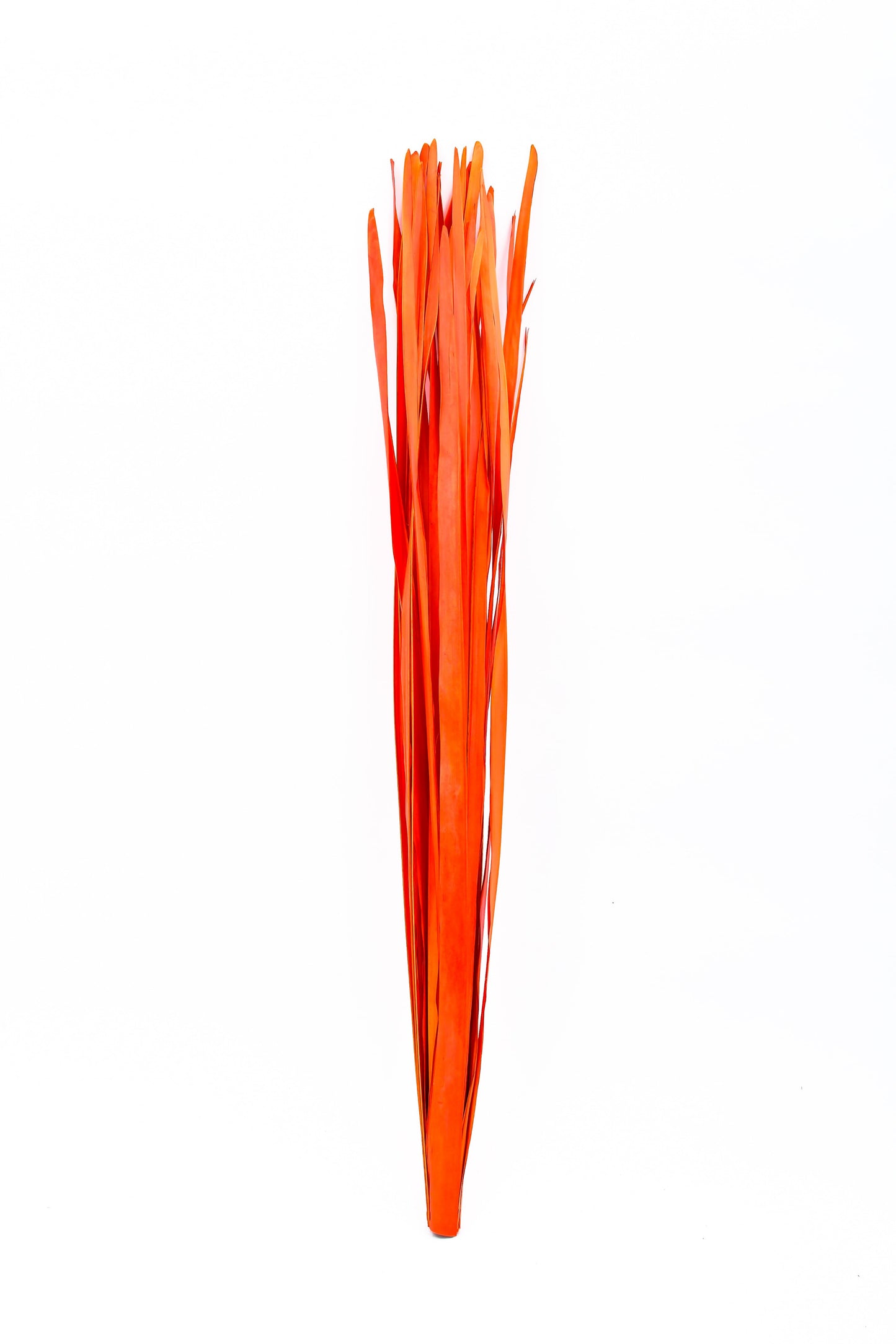 2er Set Rattanzweige für Bodenvasen – Natur-Deko aus 8 Zweigen pro Bündel