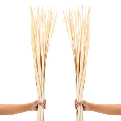 2-Pack Rattan Sticks for Floor Vases – Natural Decorative Twigs ( 8 per Bundle), ecru, Palm Leaf